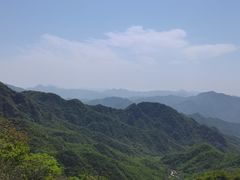 -大岭沟猕猴桃谷风景区
