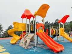 -铁山坪森林公园