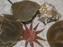 -福州罗源湾海洋世界旅游区