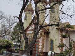 -东平国家森林公园
