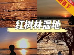 -宝安西湾红树林湿地公园