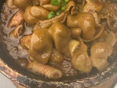 -芙蓉凰花园酒楼