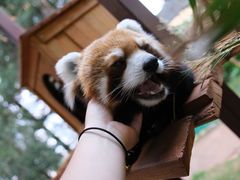 -云南野生动物园