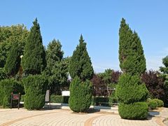 -泰山风景名胜区-虎山公园
