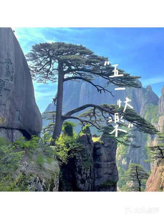 黄山风景区图片