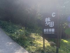 -云峰山自然风景区