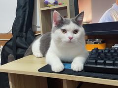 -沐森澜·轻奢足道·养生·SPA