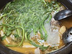 -大鼎石锅鱼(春江里店)