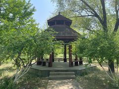 -老君堂公园