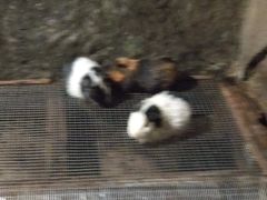 -青青世界