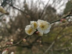 -长广溪湿地公园