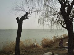 -包头南海湿地景区
