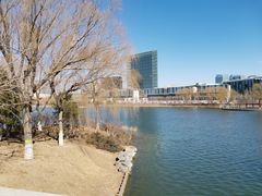 -大兴滨河森林公园