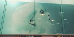-东燃造型 DR·Hair Salon