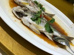 -新海利海鲜城·41年珠海老字号(夏湾店)