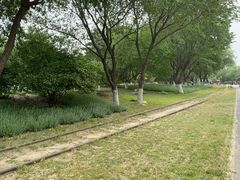 -永定河休闲森林公园