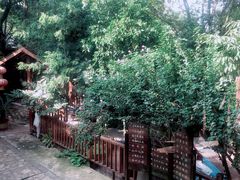 -张鸟园农家乐(张鸟园店)