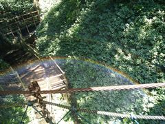 -青青世界