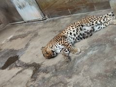 -西安秦岭野生动物园