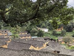 -杨家堂村