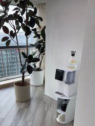 -HEYAN荷妍专业脱毛连锁机构