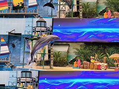 -海合安天津极地海洋公园