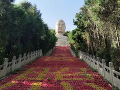 -蒙山大佛景区