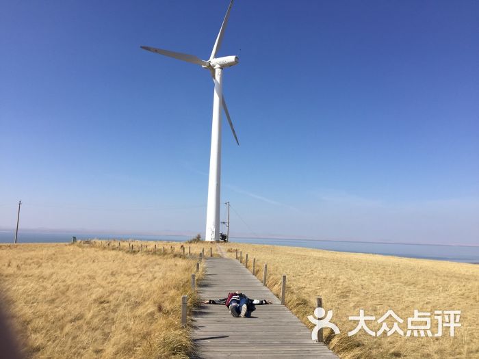 达里湖南岸景区图片 - 第9张