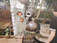 -陶缘一号·四季缘·老字号顺德菜·户外婚礼家宴(西滘店)