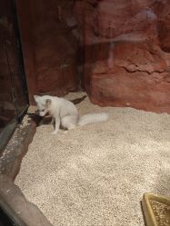 -Zoolung Zoolung动物主题公园(海信广场店)