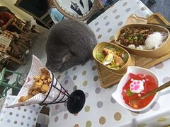 -猫小院猫主题餐厅(南锣旗舰店)