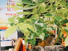 -峨嵋酒家(牡丹园店)