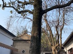 -西园戒幢律寺