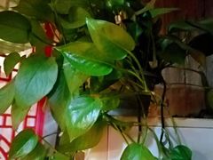 -蘑菇私房菜小馆(杨家坪西城天街店)