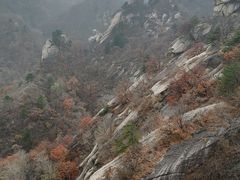 -燕北云山·农家菜·灶台鱼(密云溪翁庄店)
