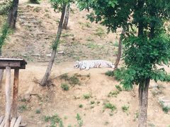 -石家庄市动物园