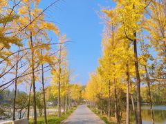 -石家庄市植物园