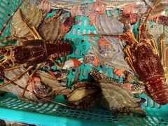 -开海·红岛海鲜虾水饺(石老人店)