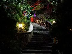 -宜春明月山维景国际温泉度假酒店