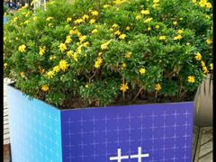 -王府井步行街