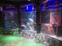 -沈阳海洋探索中心