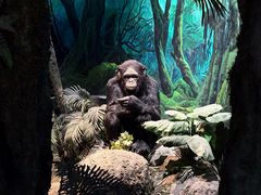 -国家自然博物馆