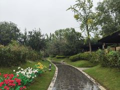 -思念果岭悦温泉