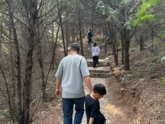 -府君山公园