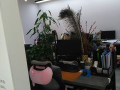 -印堂精品装饰丨一站式装修(宜山店)