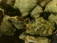 android_upload_pic-赶海部落海鲜城(海阳路店)