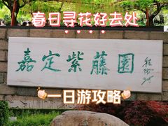 -嘉定紫藤园