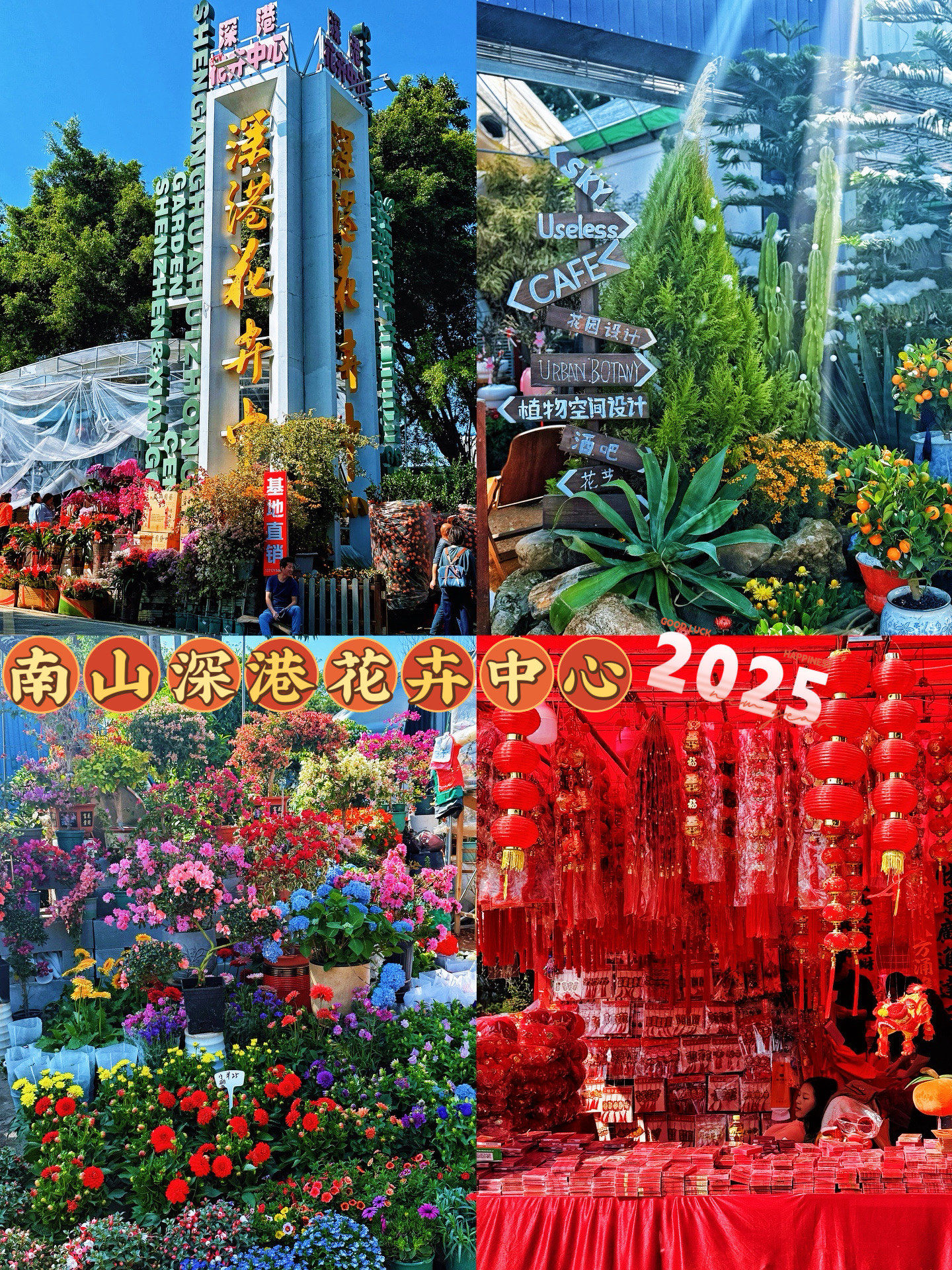 南山深港花卉中心❗️年味花艺.我又来啦