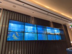 -珍宝海鲜JUMBO Seafood(尚嘉店)