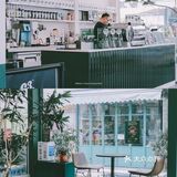 东莞探店丨咖啡鲜森 Coffee·C3丨绿色记忆的咖啡店